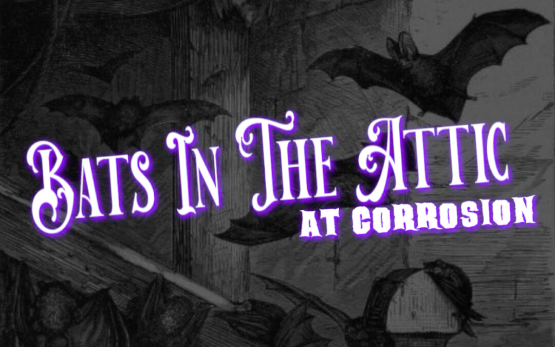 Inhabiting the Alhambra in August! More details of the line-up…