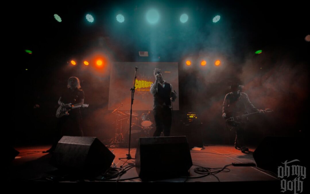 Bats in the Attic 2026