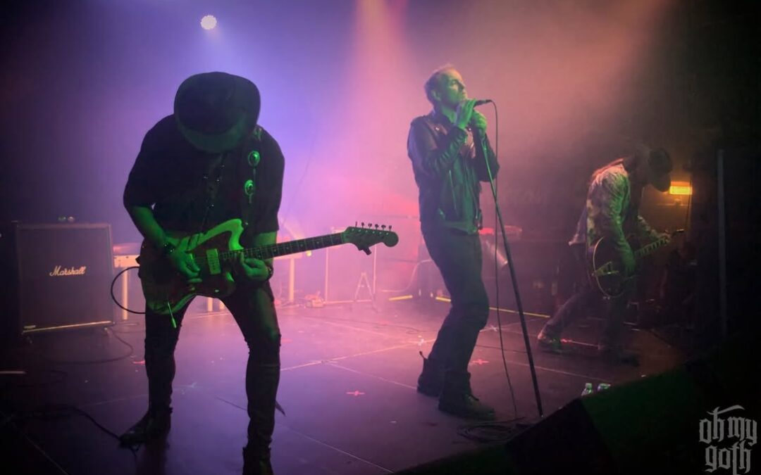 Long Night made a triumphant return to Morecambe three weeks ago, t…