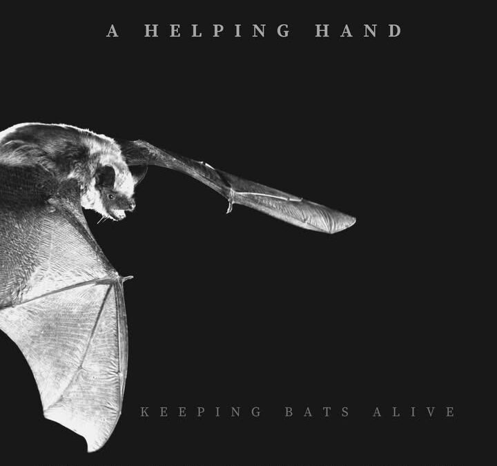 Our friends Michael and Gina have put together a compilation album …