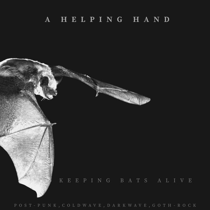 Our friends Michael and Gina have put together a compilation album ...